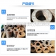防水翼環(huán)使用廣泛，那么你知道防水翼環(huán)的設(shè)計(jì)理念和特點(diǎn)嗎？